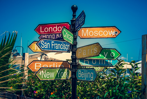 A colourful signpost tree pointing to major cities around the world surrounded by young palm trees under a bright blue sky.