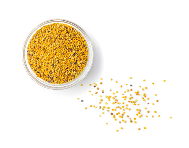 istock Bee Pollen, Perga, Flower Pollen Grains or Bee Bread 1415344563