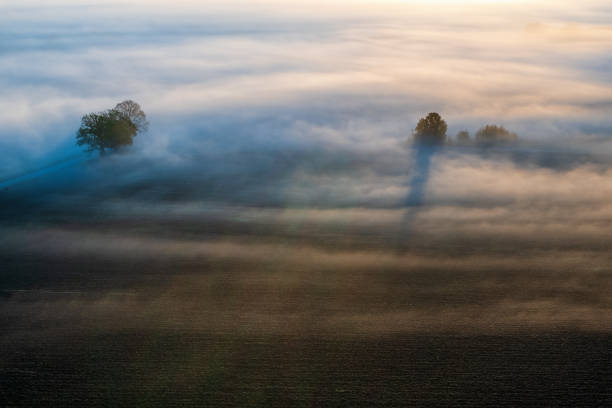 istock Mist at the fields in the morning light 1415347064