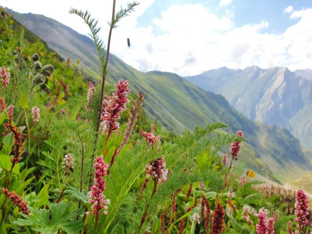 istock Spring time beautifull views of the Kashmir Valley AJK 1415349988