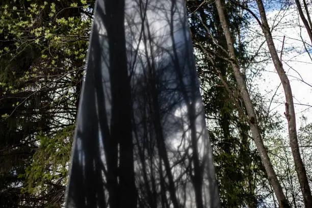 Photo of Obelisk of granite against background of forest. Place of military glory. Monument to soldiers.