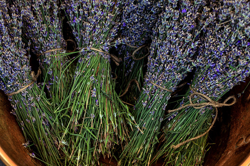 fresh lavender produce