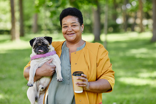 Waist up portrait of mature black woman holding cute pug dog outdoors and smiling at camera while enjoying walk in park together