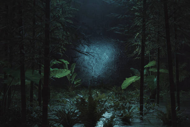 istock 3d rendering of epic dark forest with bamboo trees and empty spot in the middle 1415357541