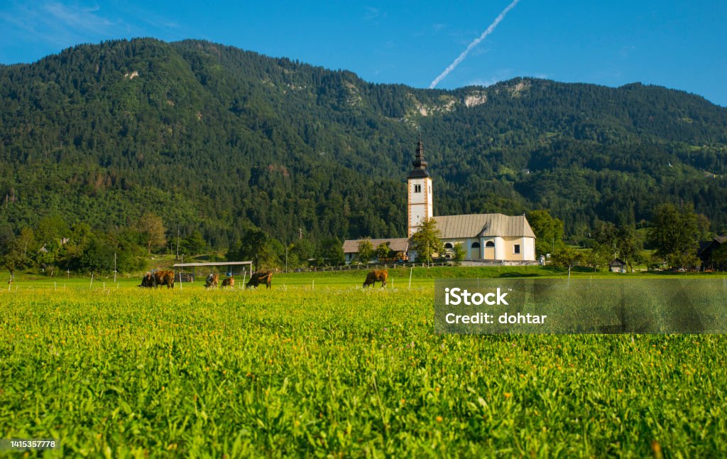 Jereka village, Bohinj lake, Slovenia Jereka village near Bohinj lake, Slovenia Agricultural Field Stock Photo