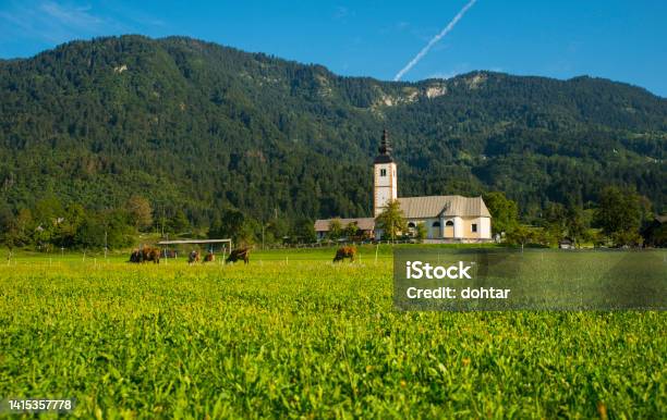 Jereka Village Bohinj Lake Slovenia Stock Photo - Download Image Now - Agricultural Field, Autumn, Backgrounds