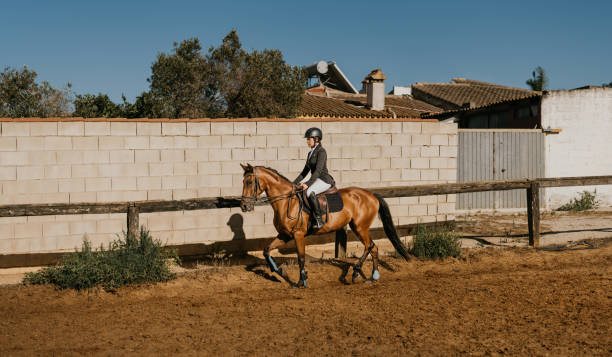 jeune femme en uniforme d’équitation faisant du jogging à cheval autour du manège - running horses photos et images de collection