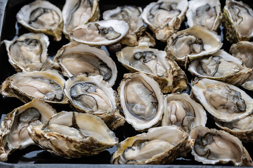 A plate of fresh oysters