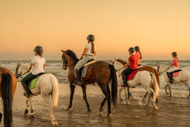 vue arrière d’un groupe de 6 chevaux montés par de jeunes cavaliers trottinant dans la mer. - running horses photos et images de collection