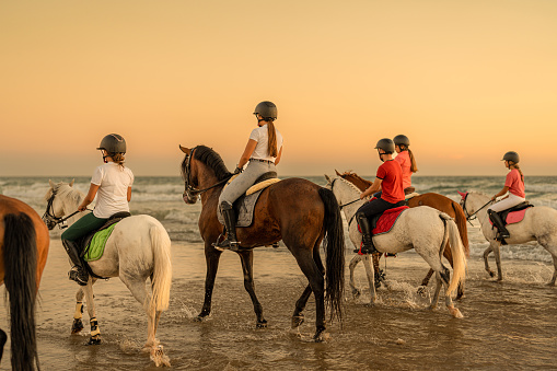 rear view of a group of 6 horses mounted by young riders trotting in the sea. Horse