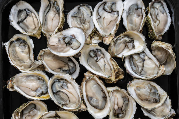 istock Close up of fresh oysters 1415358250