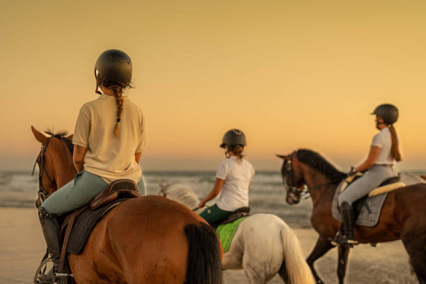 jeune femme avec tresse chevauchant un cheval sur la plage à côté de 2 jeunes cavaliers - running horses photos et images de collection