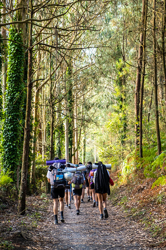 A Coruña, Spain; 13th august 2022: A group of pilgrims crosses a forest while walking the Camino de Santiago. Every year more and more people walk the Camino de Santiago, some for religious reasons and others simply to enjoy a great experience.