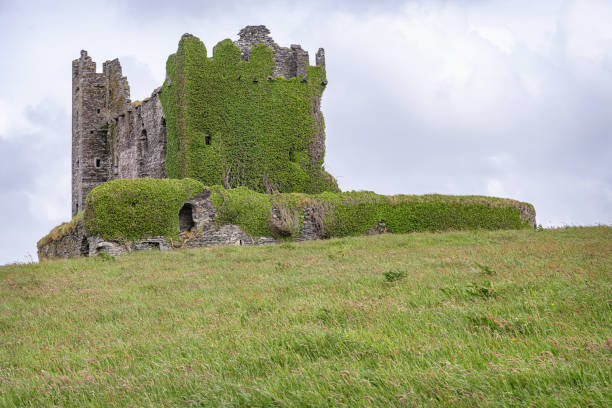 A medium shot view  of the summer countryside in Northern Ireland