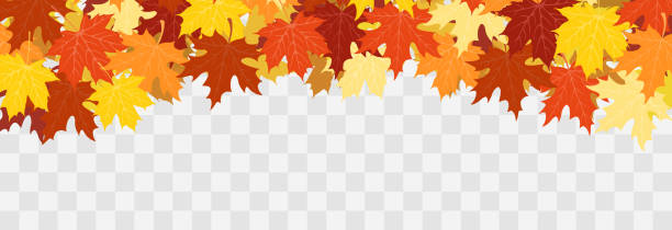 ilustrações de stock, clip art, desenhos animados e ícones de abstract autumn panorama with colorful leaves on transparent background. yellow foliage collection. vector illustration. fall flying leaves, autumn vector design elements for decoration. - autumn collection