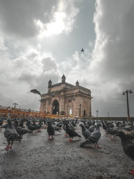 foto de la puerta de entrada de la india con palomas en primer plano y un cielo nublado - vertical gateway to india famous place travel destinations fotografías e imágenes de stock