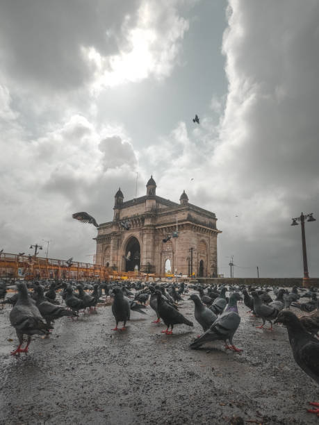 tiro de portal da índia com pombos em primeiro plano e um céu nublado - vertical gateway to india famous place travel destinations - fotografias e filmes do acervo