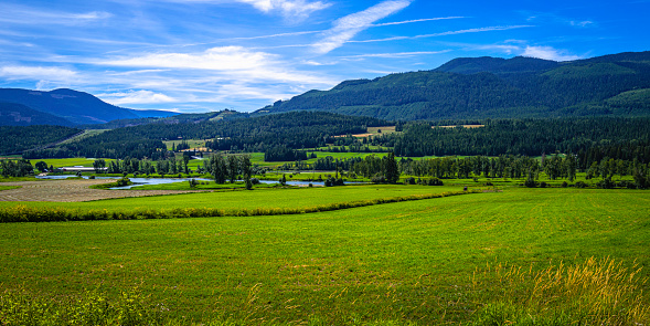 Contryside landscape in Enderby, British Columbia, Canada