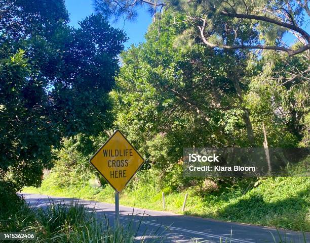 Road Sign For Wildlife Crossing Stock Photo - Download Image Now - Alertness, Animal, Animal Behavior