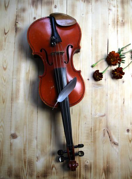 istock violin, bird feather, flowers on wooden background 1415362509