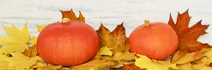 Autumn colorful leaves and pumpkins on white wooden background, seasonal banner.