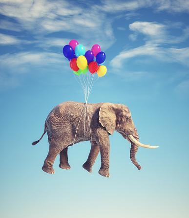 Elephant flying with balloons. Dreaming and aspiration concept. This is 3d render illustration