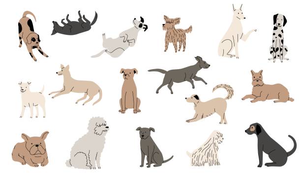 개 재미있는 스케치. 귀여운 손으로 그린 사랑스러운 강아지, 앉아있는 점프를하는 라인 개 캐릭터, 다채로운 애완 동물 동물. 벡터 격리 컬렉션 - dogs stock illustrations