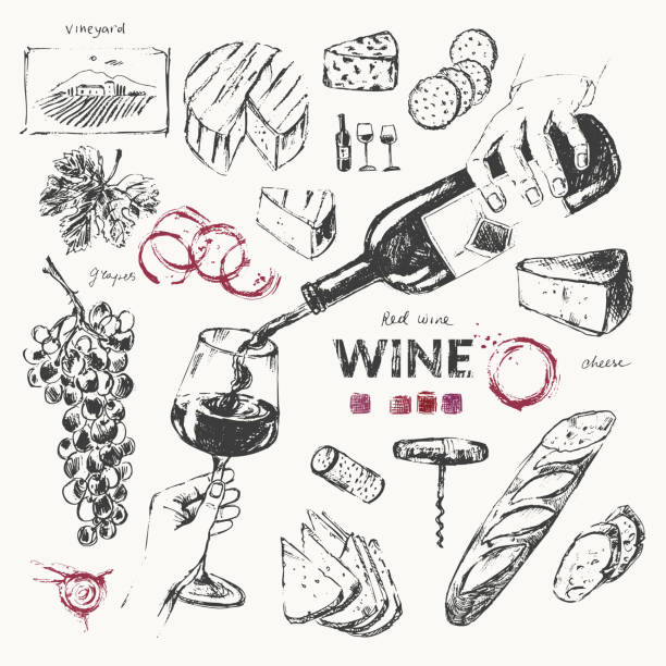 illustrazioni stock, clip art, cartoni animati e icone di tendenza di bottiglia di vino, bicchiere di vino, vino versato a mano, snack, formaggio, uva, vite, vigneto, tappo, corckscrew, pane, macchie di vino. - red grape