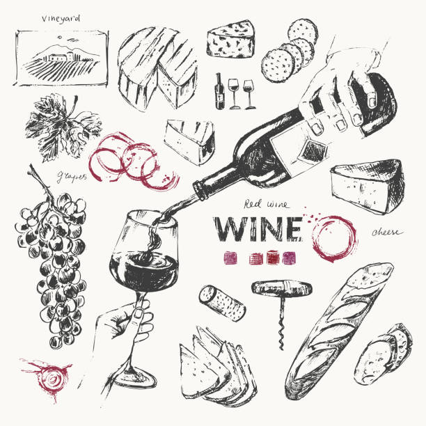 ilustrações de stock, clip art, desenhos animados e ícones de wine bottle, wine glass, hand pouring wine, snack, cheese, grapes, vine, vineyard, cork, corckscrew, bread, wine stains. - wine cellar wine bottle grape