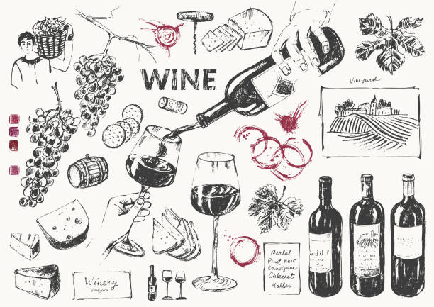 ilustraciones, imágenes clip art, dibujos animados e iconos de stock de botella de vino, copa de vino, vino a mano, merienda, queso, uvas, vid, viñedo, corcho, tornillo de corcks, pan, manchas de vino. - vine label grape wine
