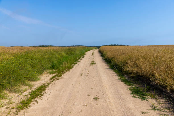 istock Gravel highway in rural areas 1415373754