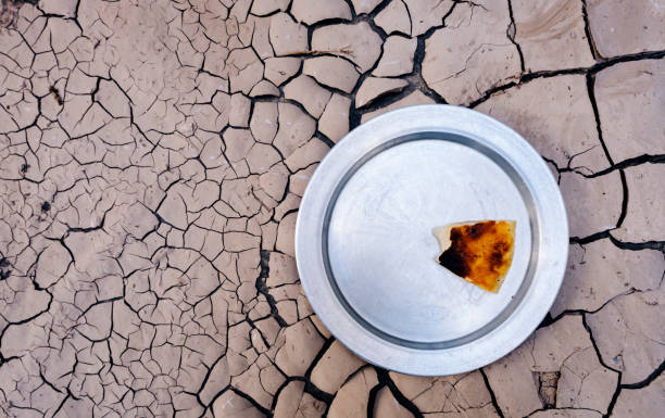 hunger due to famine and drought. the last piece of dry bread left on the plate. stock photo