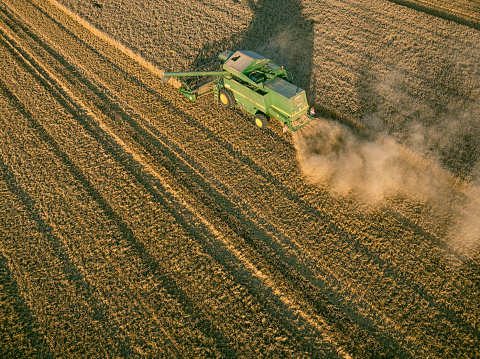 John Deere combaine harverster harvesting wheat during a summer sunset seen from above.