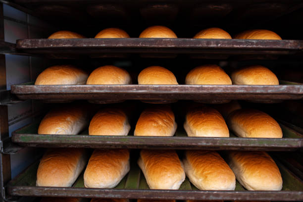 Freshly baked bread loafs on a metal shelf