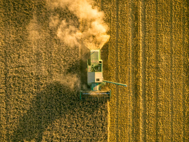 John Deere combaine harverster harvesting wheat during summer seen from above stock photo
