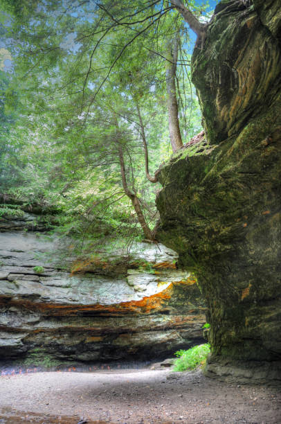 istock limestone canyon-Turkey Run, Indiana 1415381156