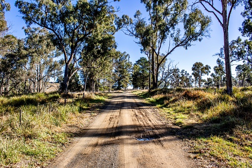 View up a Landscape up a Dirt Road in a Rural Area in New South Wales, Australia