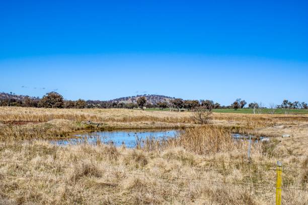 istock Pond in the Countryside 1415383479