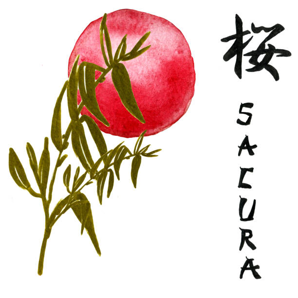 styl azjatycki . czerwone słońce i beżowy księżyc w liściach bambusa. wschodnia akwarela ilustralna. - bamboo watercolor painting isolated ink and brush stock illustrations