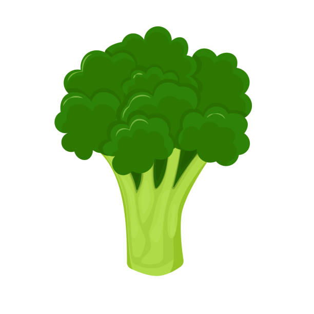 brokkoli isoliert auf weißem hintergrund. frischer brokkoli im flachen stil - broccoli stock-grafiken, -clipart, -cartoons und -symbole