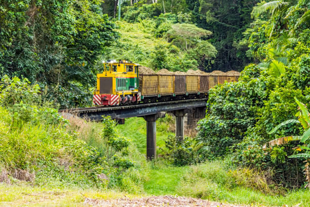 Mossman, Australia - Aug 5, 2022: Rainforest, sugar cane, train, a loco named Daintree, a bridge and a creek named Cassowary! Mossman Mill’s Daintree crossing Cassowary Creek with a load of cut cane from growers near Port Douglas. Aug 5, 2022 Far North Queensland