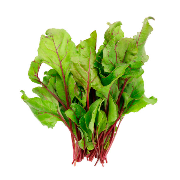 istock Beetroot leaves on white background, organic vegetables for salad. 1415389105