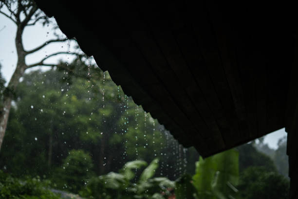 istock rain and leaves,water droplets on rainy day 1415390010
