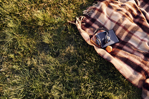 Close up view of the plaid that is on the green grass. Headphones, apple and books is on the ground.
