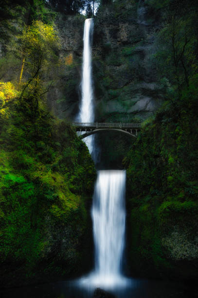 istock Multnomah Falls dreamscape image in  the Columbia River Gorge, Oregon 1415393700