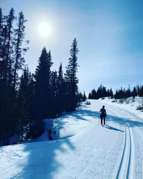 istock Cross country skiing 1415394996