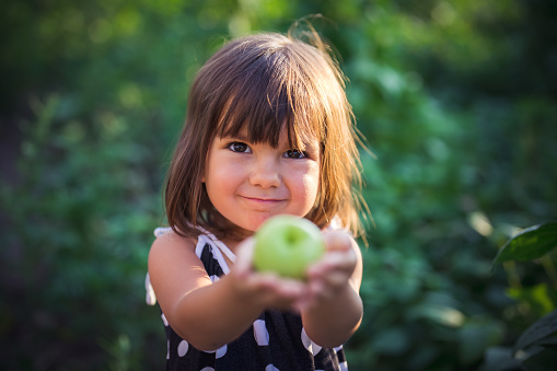 Little Girl showing a freshly picked apple