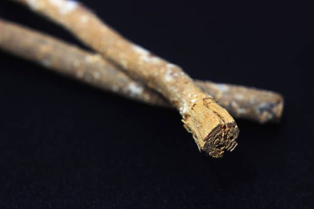 istock Siwak or Miswak, Arabian, Ancient Traditional Tooth brush and paste, at Black background 1415400323