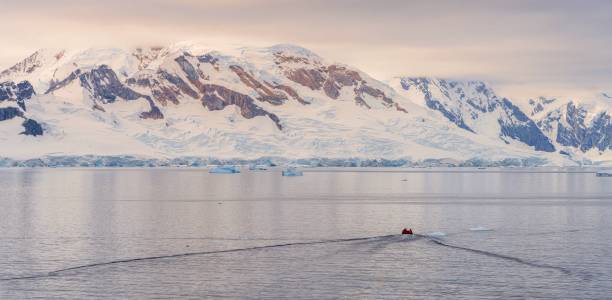 expeditions - zodiac cruises through antarctic iceberg landscape at portal point which is located at the entrance to charlotte bay on the reclus peninsula, on the west coast of graham land. - ice cold glacier blue imagens e fotografias de stock