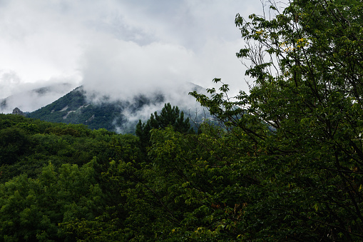 The top of Mount Beshtau covered with dense clouds. Russia, Stavropol Region.